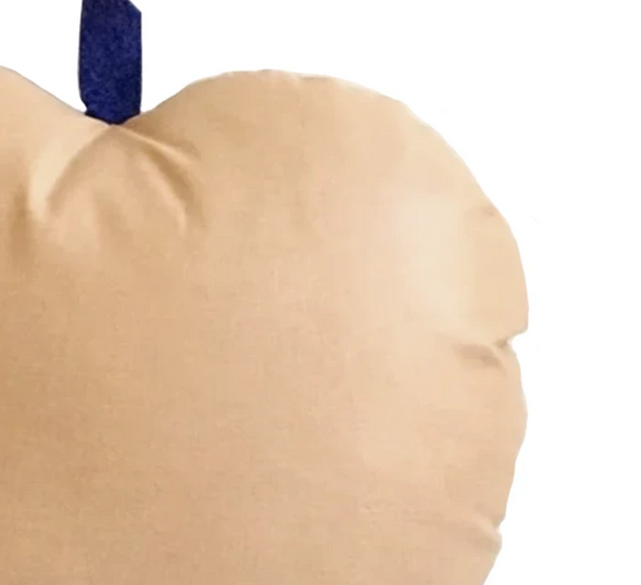 TERRACOTTA APPLE PILLOW